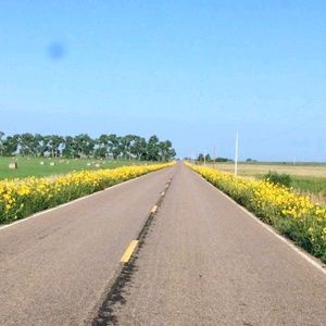 Meet your Posher, Marylou